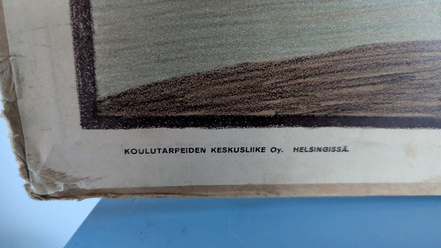 Opetustaulu - Olavinlinna (Väinö Blomstedt)