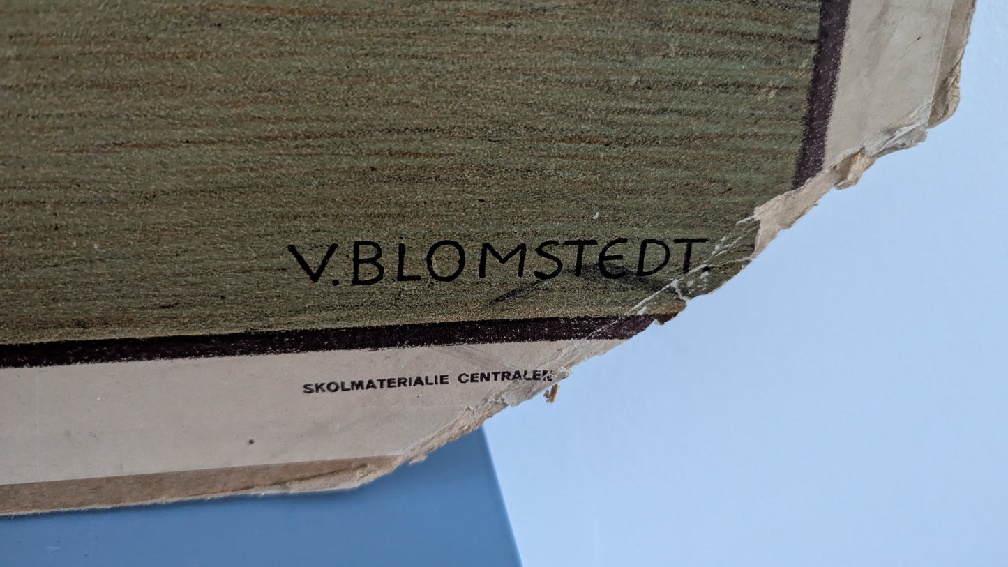 Opetustaulu - Olavinlinna (Väinö Blomstedt)