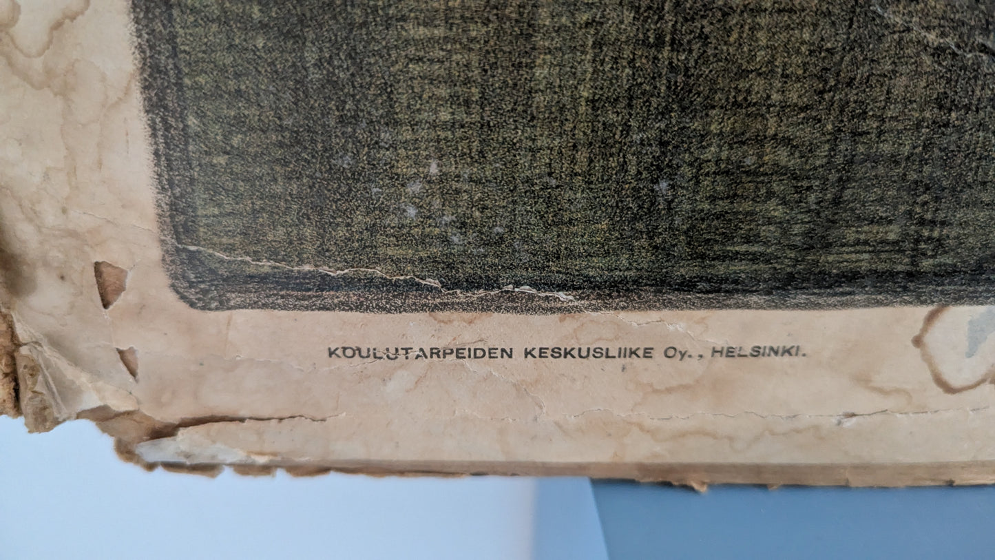 Opetustaulu - Kaarle Knuutinpoika Lähdössä Viipurin Linnasta (Albert Gebhard)