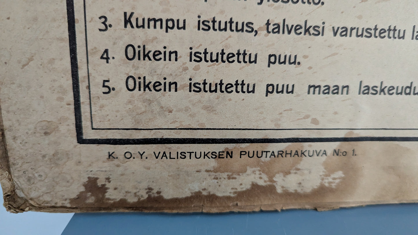 Opetustaulu - Valistuksen Puutarhakuva No. 1 / Hedelmäpuiden Istutus
