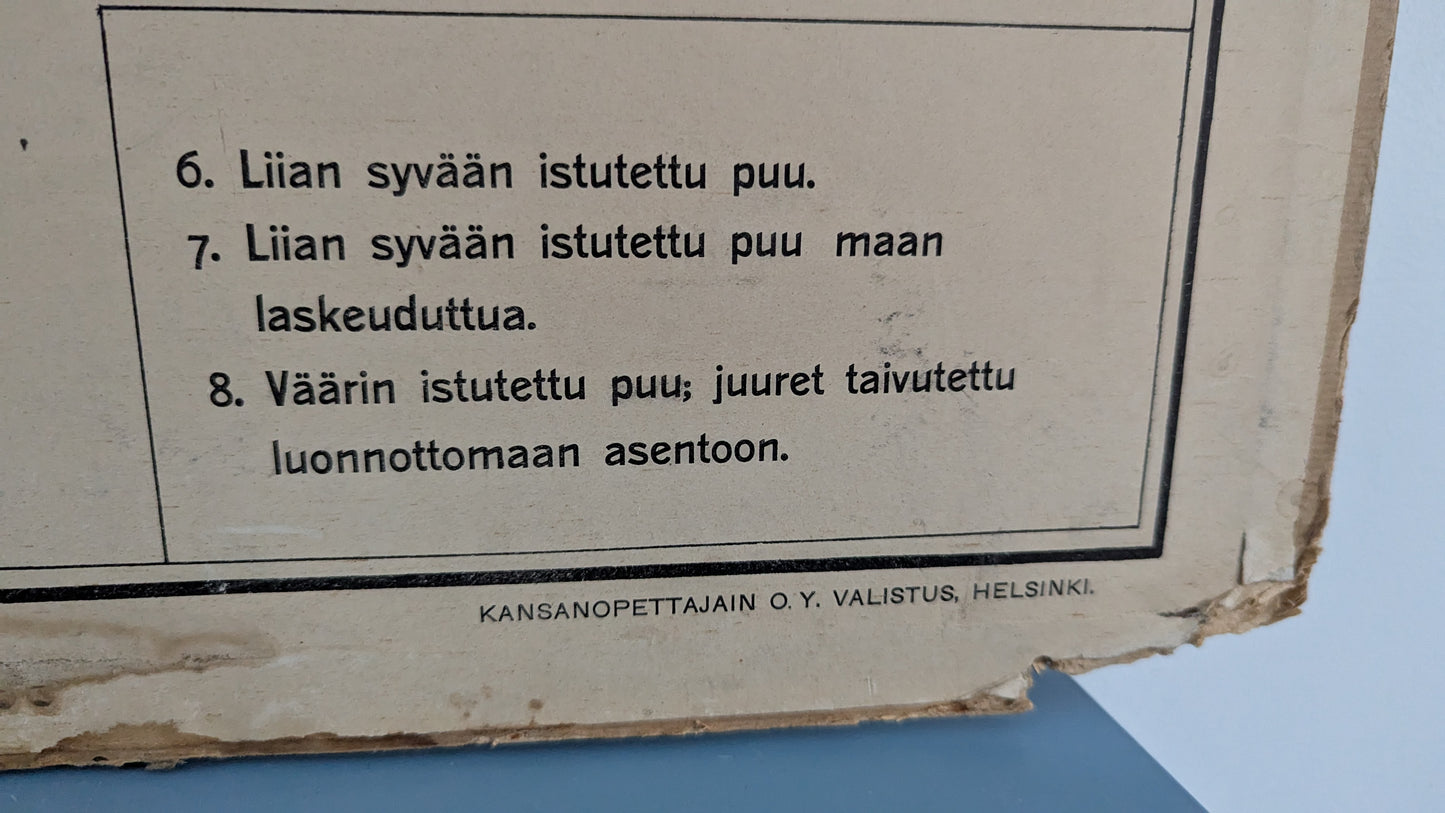 Opetustaulu - Valistuksen Puutarhakuva No. 1 / Hedelmäpuiden Istutus
