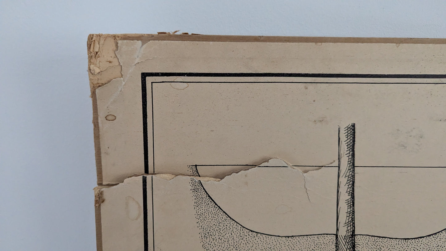 Opetustaulu - Valistuksen Puutarhakuva No. 1 / Hedelmäpuiden Istutus