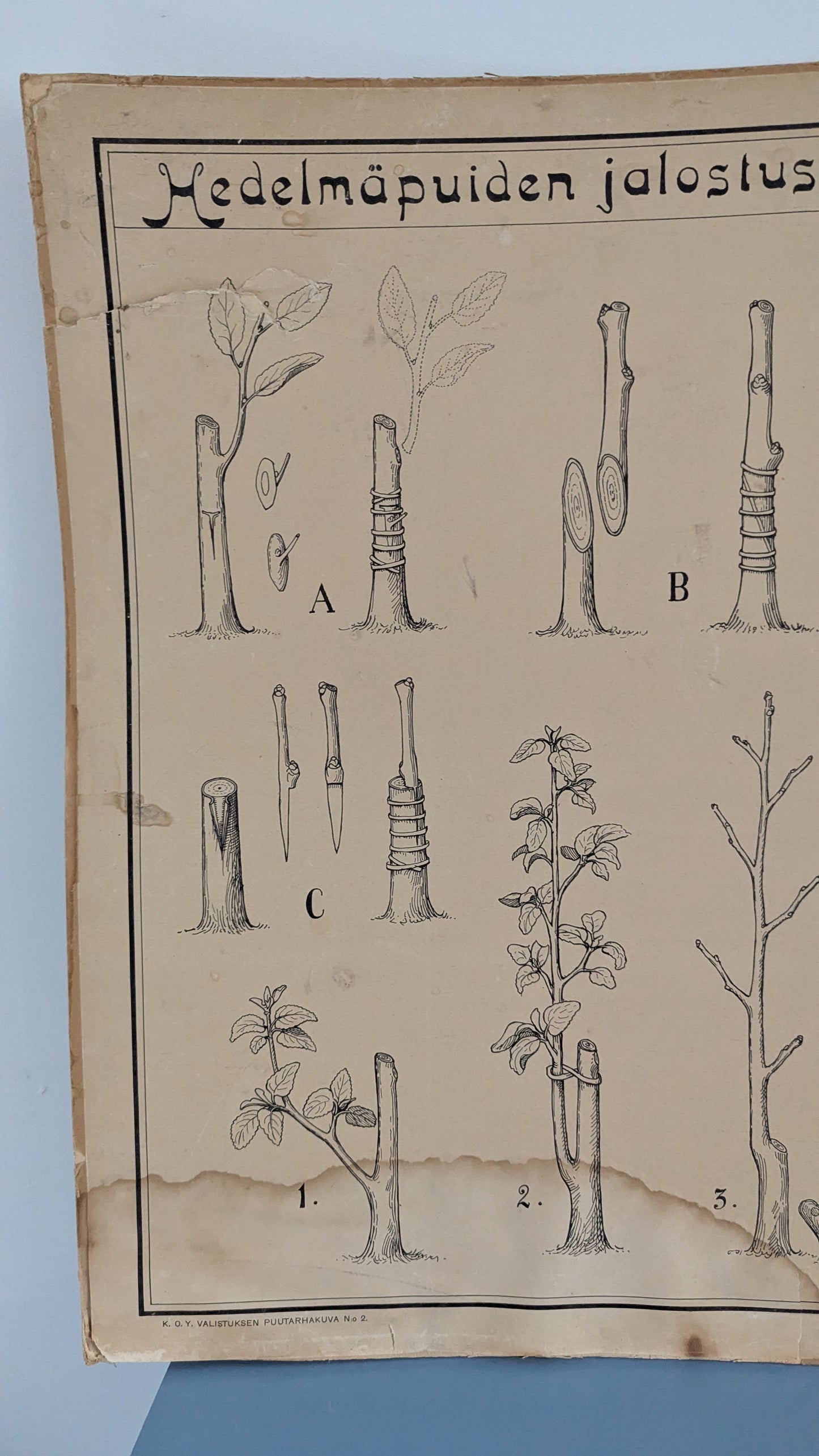 Opetustaulu - Valistuksen Puutarhakuva No. 2