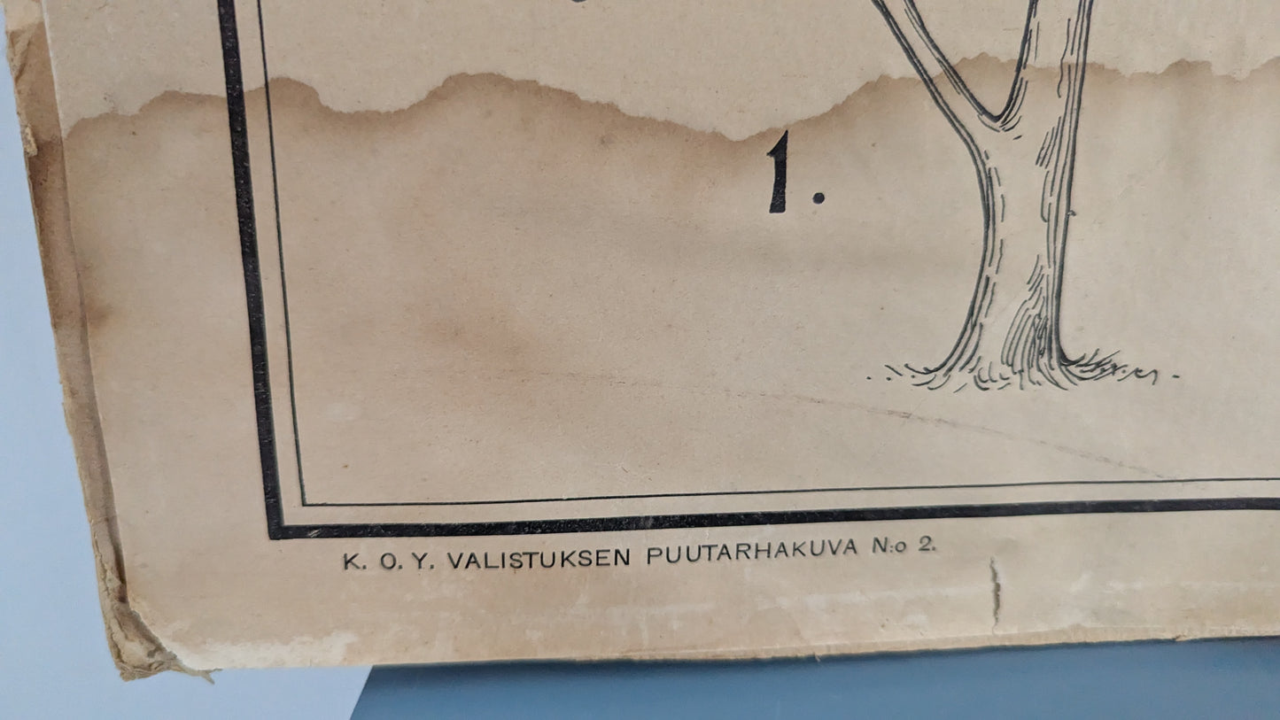 Opetustaulu - Valistuksen Puutarhakuva No. 2