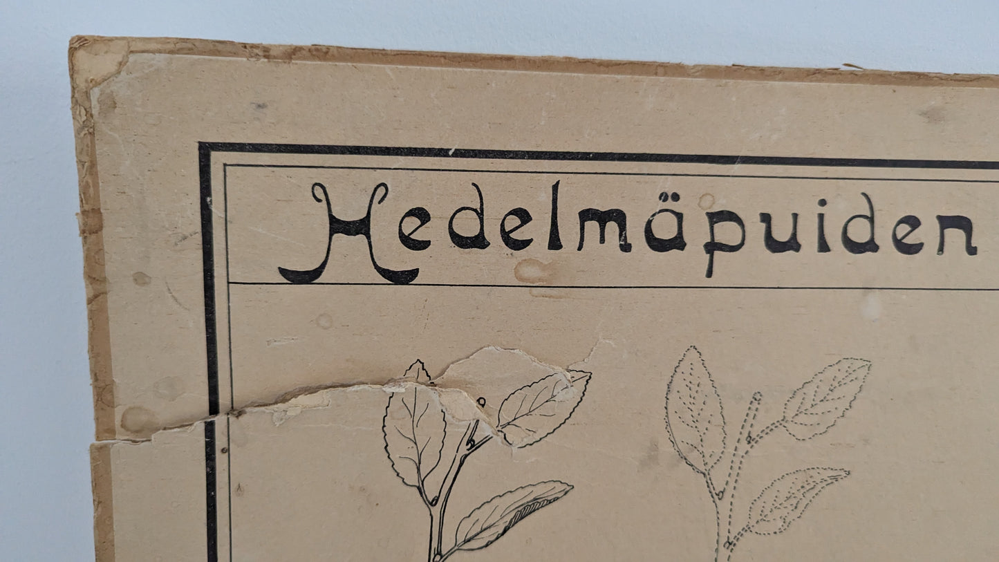 Opetustaulu - Valistuksen Puutarhakuva No. 2