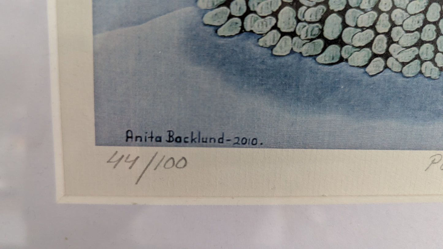 Anita Backlund - Portinvartija (Signeerattu Grafiikka, 2010)