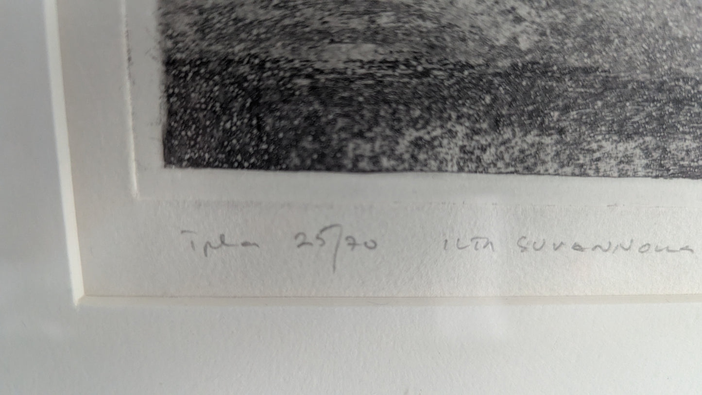 Osmo Nissinen - Ilta Suvannolla (Signeerattu Grafiikka 1991)