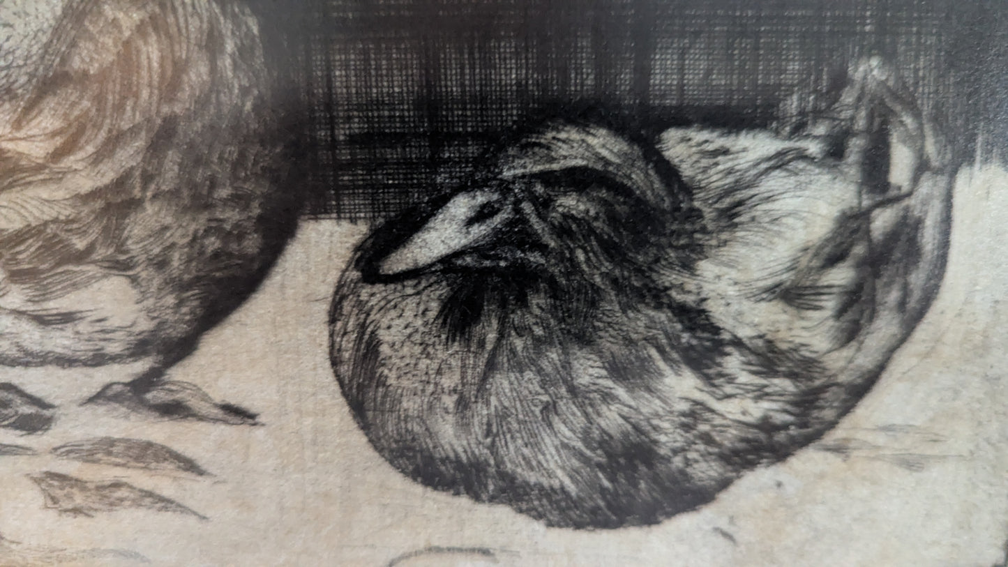 Brita Asplund - Signeerattu Puupiirros (1/15, 1980)