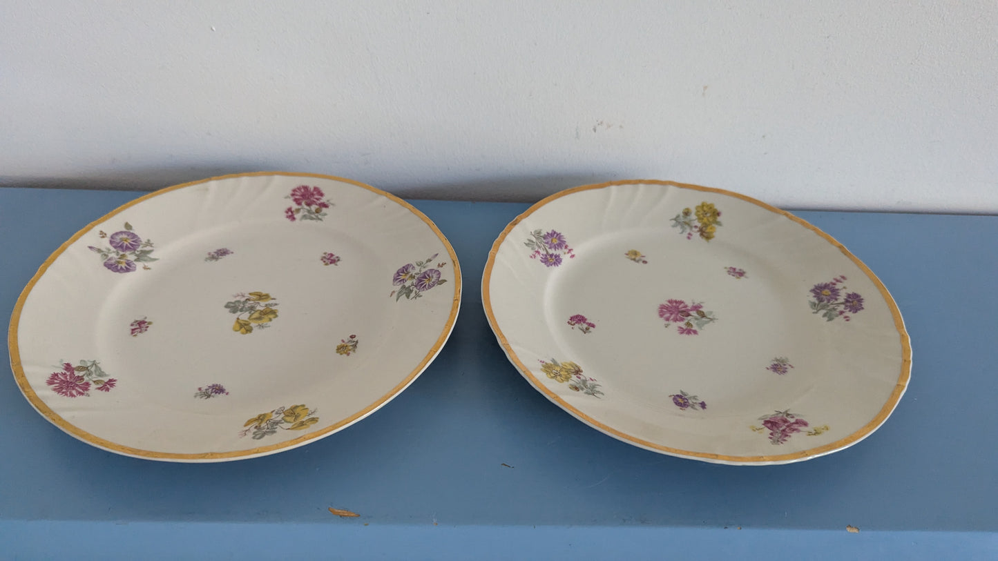 Arabia Rosita Salaattilautanen / Alkuruokalautanen (2kpl, 1944-1958)