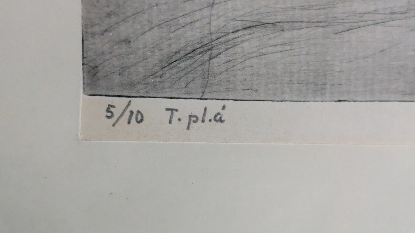 T. Jaakola - Signeerattu Etsaus (1969)