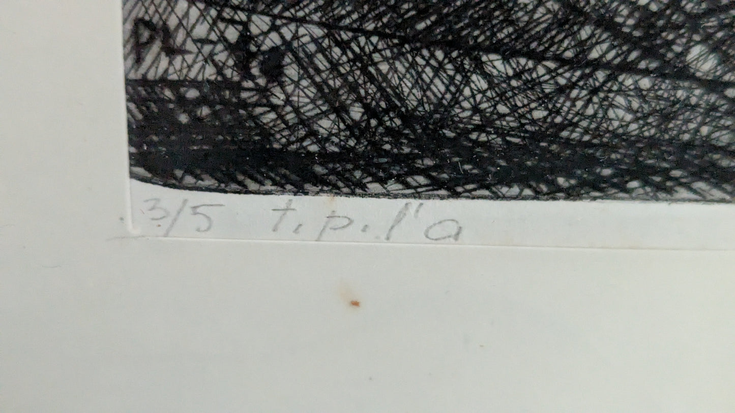 Signeerattu Etsaus (Numeroitu 3/5, Paavo Lavander?)