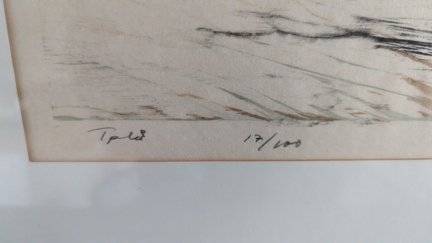 Veikko Stålhammar - Signeerattu Puupiirros (1984)