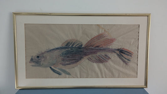 Signeeraamaton Kala Aiheinen Akvarellimaalaus