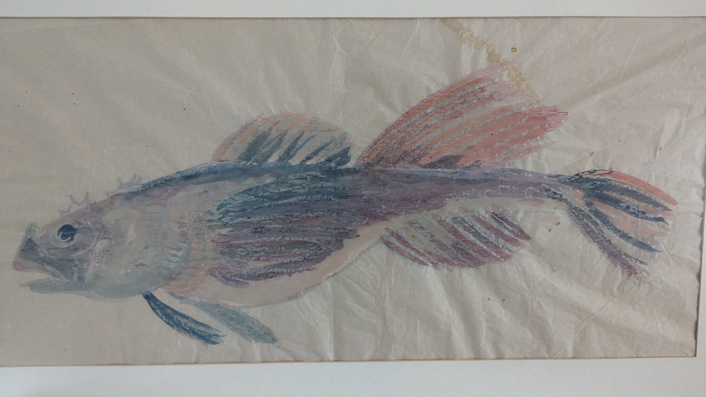 Signeeraamaton Kala Aiheinen Akvarellimaalaus