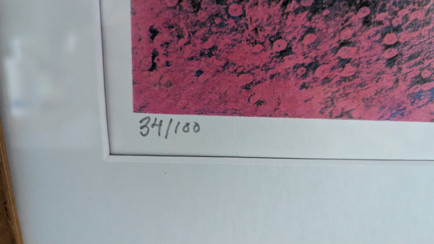 Juha Soisalo - Signeerattu ja Numeroitu 34/100 Grafiikka (2008)