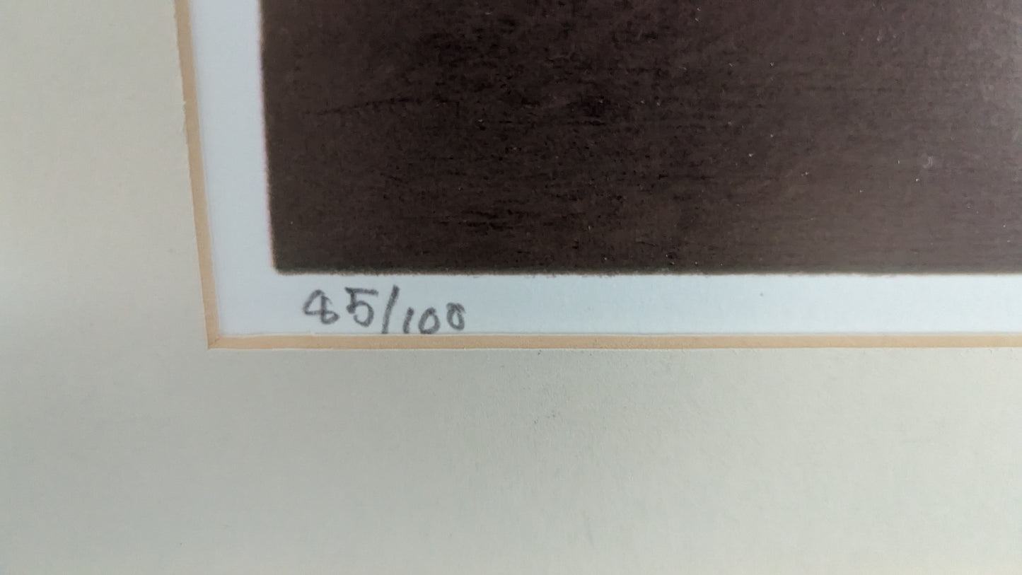 Juha Soisalo - Signeerattu ja Numeroitu 85/100 Grafiikka (2009)