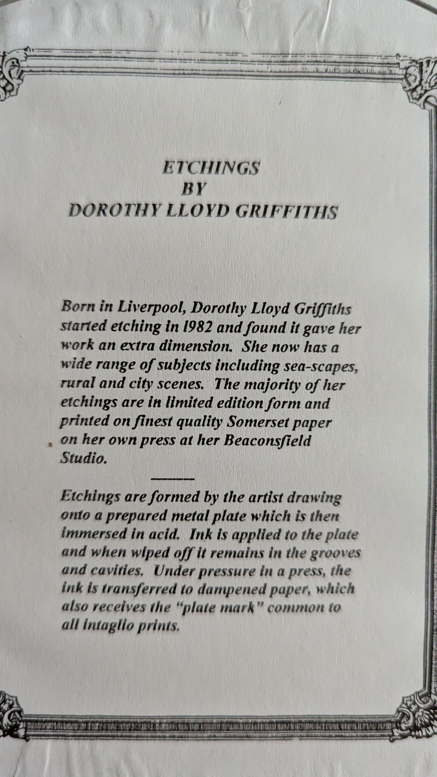 Dorothy Griffiths - Moo Moo (Signeerattu Etsaus)