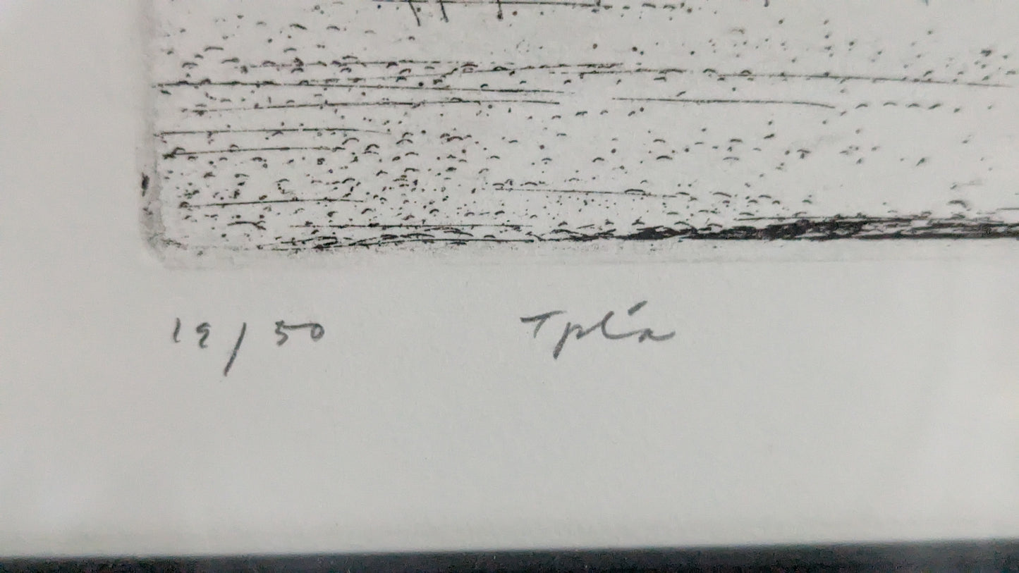 Simo Hannula - Observatorio (Signeerattu Etsaus, 1979)