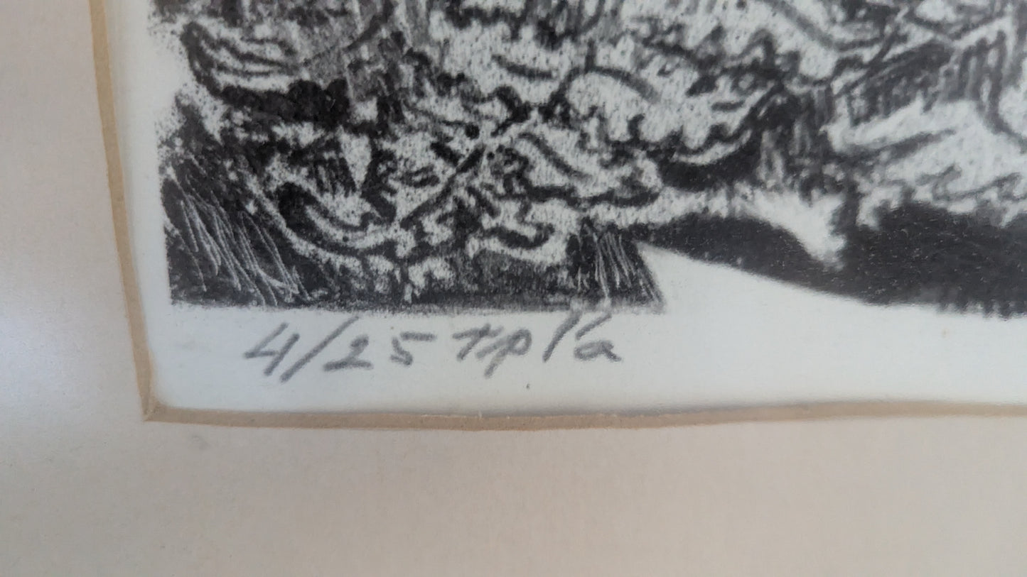 Tapio Tapiovaara - Sanajalka Kukkii II (Signeerattu Kivipiirros 1980)