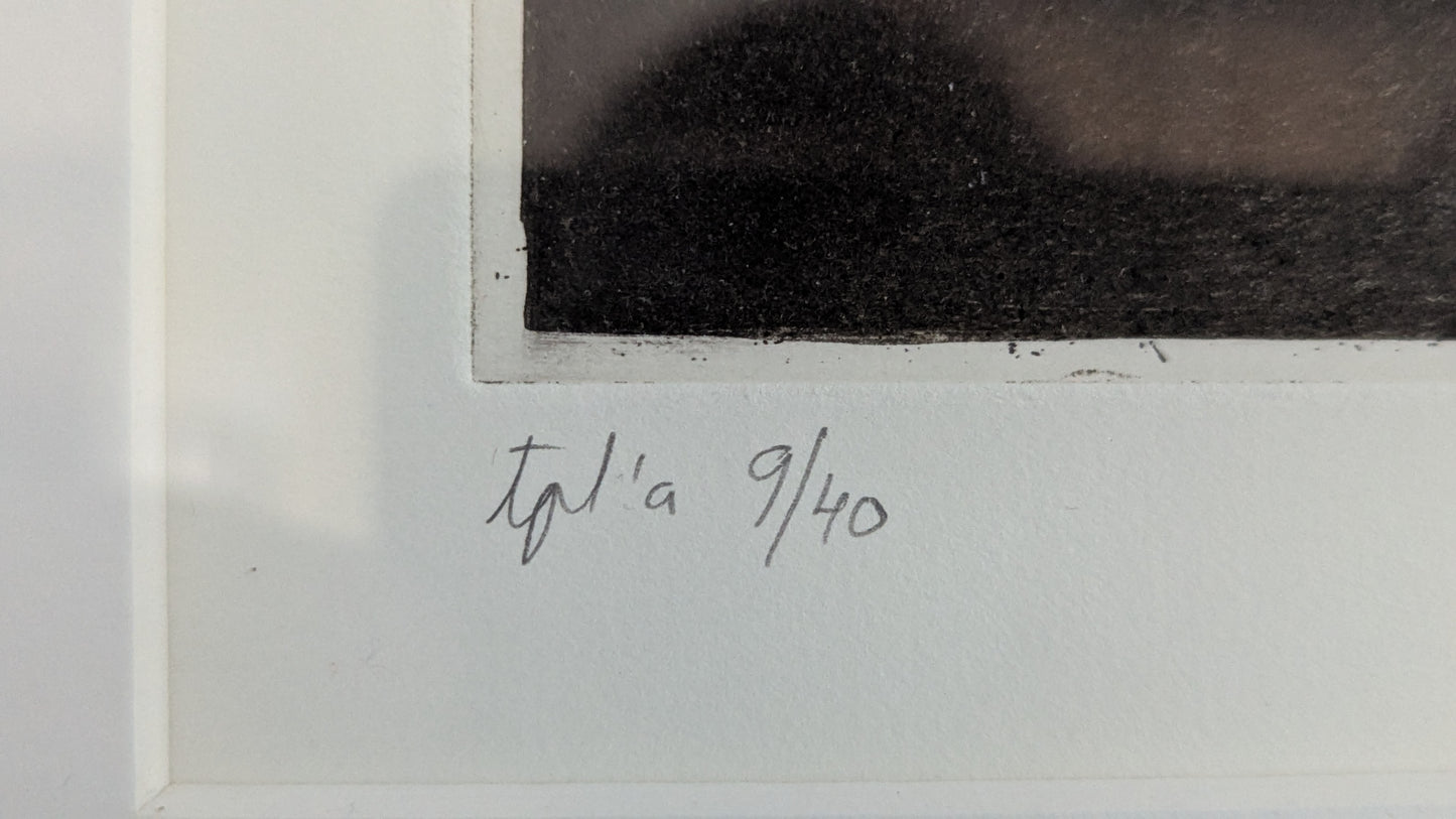 Sami Rinne - Kaukokaipuu (Signeerattu Etsaus 1995)