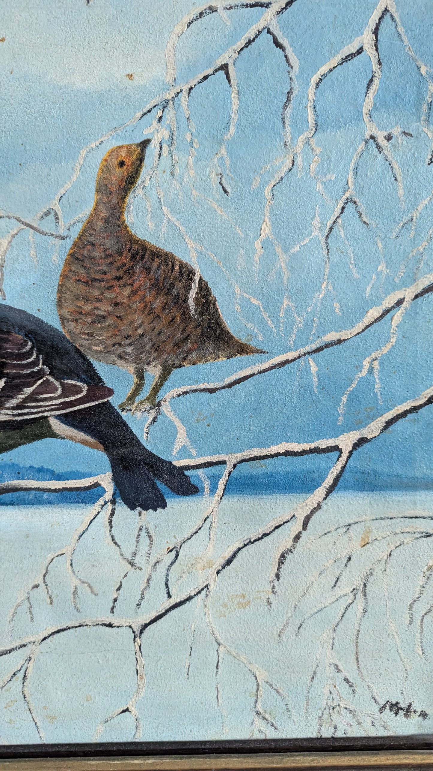 Signeerattu Teeri Aiheinen Öljyvärimaalaus