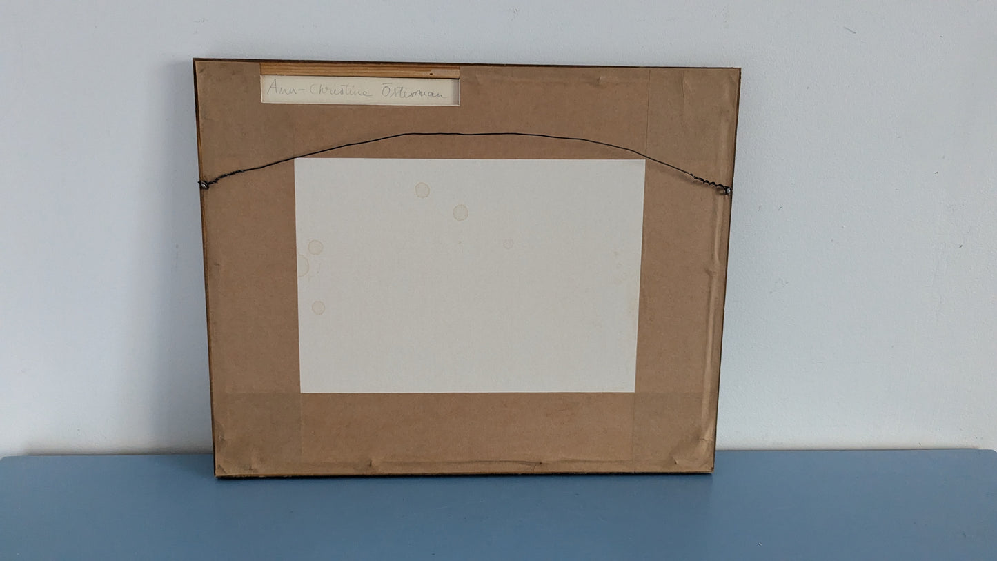 Ann-Cristine Österman - Hundramarksvillorna (Signeerattu Teos, 1979)