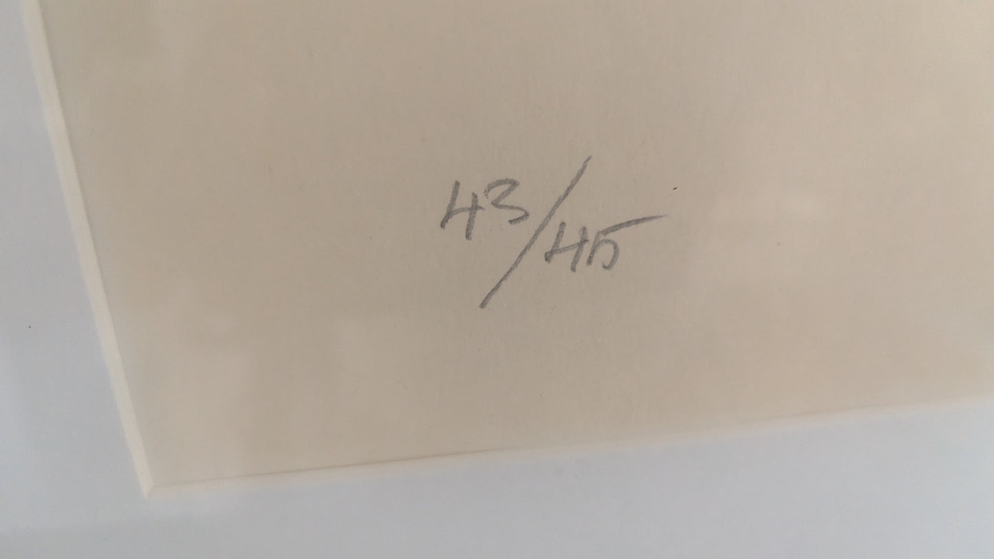 Raimo Kanerva - Signeerattu Grafiikka (1981, ISO, Korkeus: 100cm)