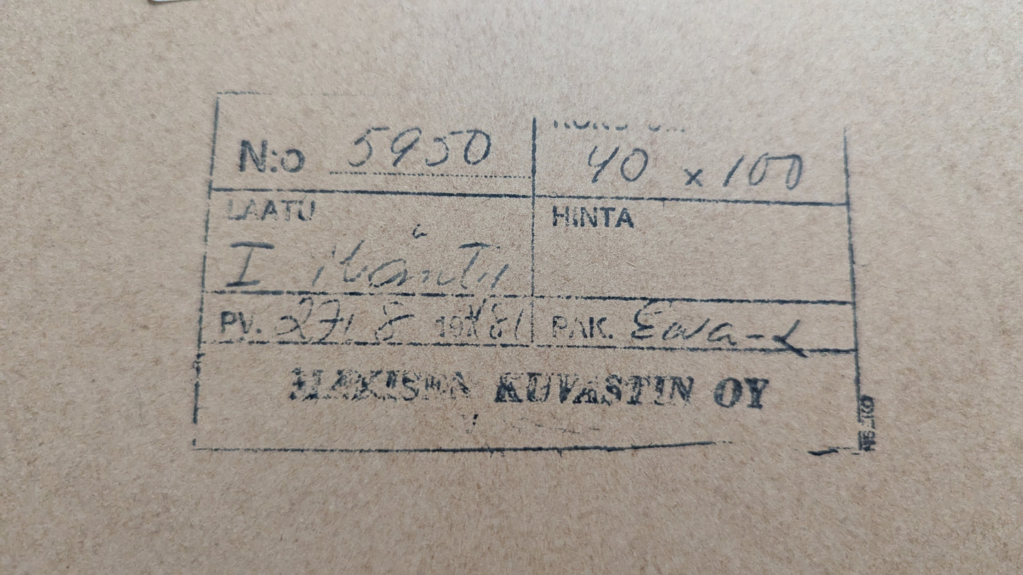 Mäkisen Kuvastin - Seinäpeili Säilytystaskuilla ja Ilmoitustaululla (1981)