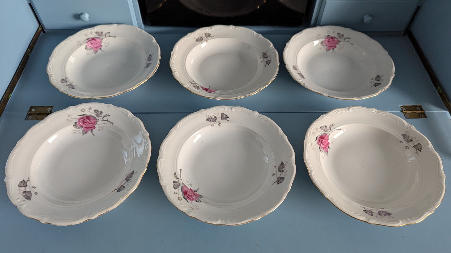 Wałbrzych - Ruusukuvioinen Keittolautanen (6kpl)