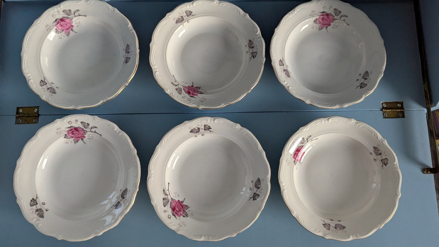 Wałbrzych - Ruusukuvioinen Keittolautanen (6kpl)