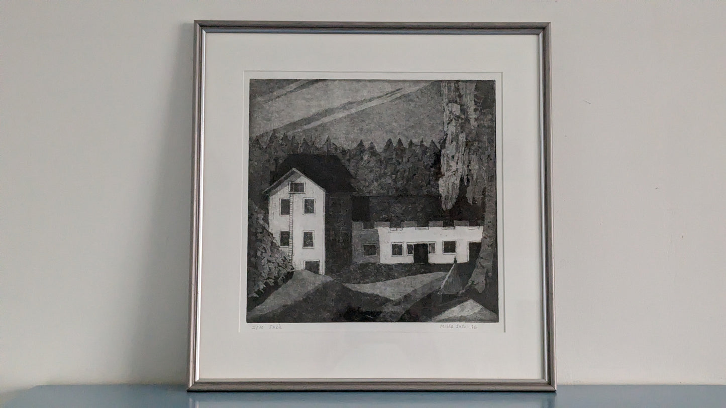 Maila Salo - Signeerattu Grafiikka (1976, 3/10)