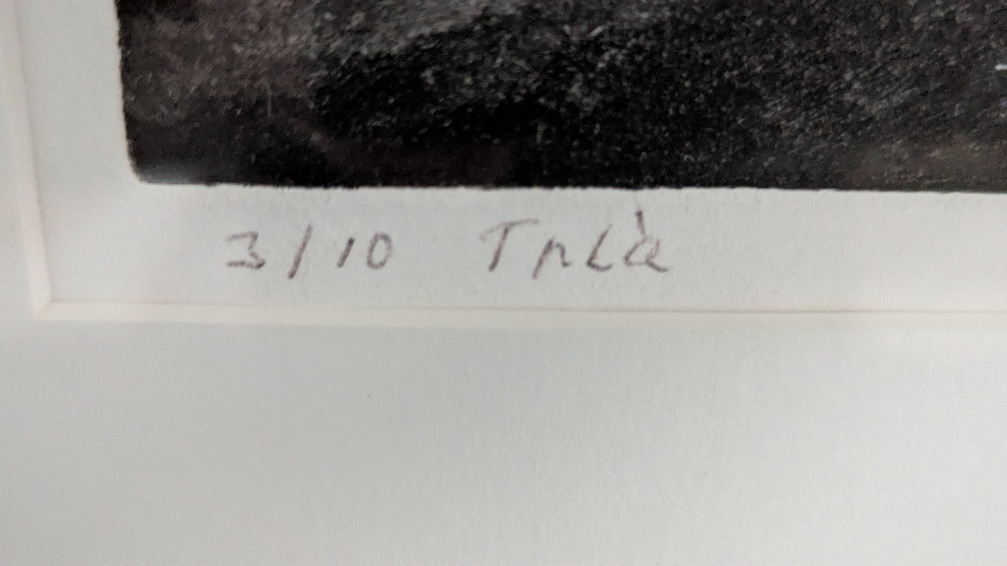 Maila Salo - Signeerattu Grafiikka (1976, 3/10)
