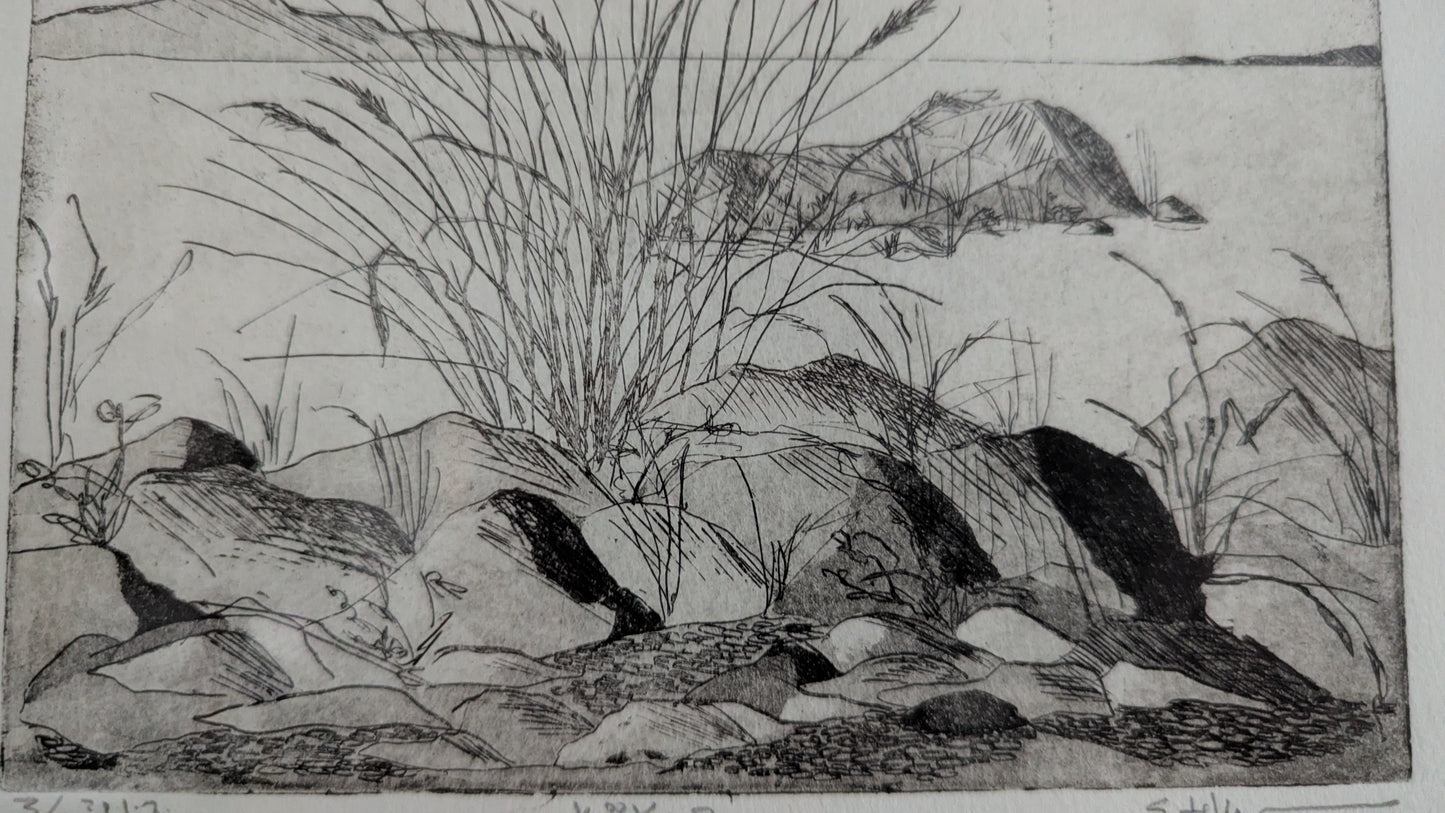 Sirpa-Helena Viljanen - Kökar (Signeerattu Grafiikka, 3/10)