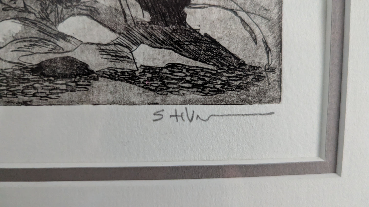 Sirpa-Helena Viljanen - Kökar (Signeerattu Grafiikka, 3/10)