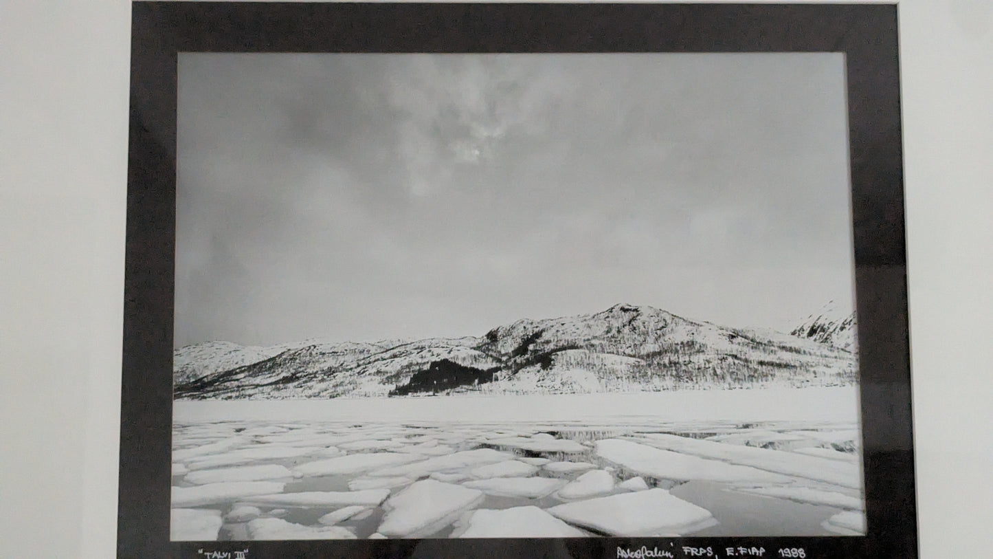 Asko Salmi - Talvi III (Signeerattu Valokuva, 1988)