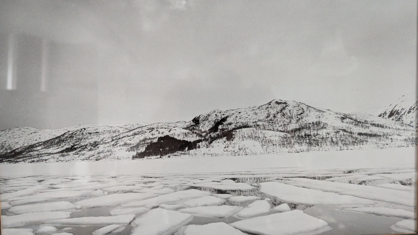 Asko Salmi - Talvi III (Signeerattu Valokuva, 1988)