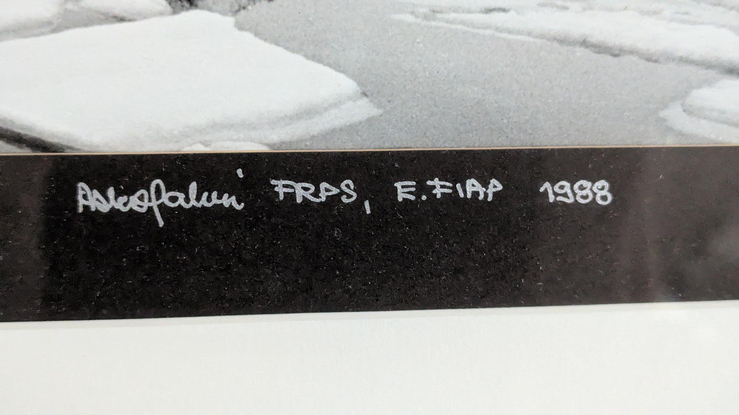 Asko Salmi - Talvi III (Signeerattu Valokuva, 1988)