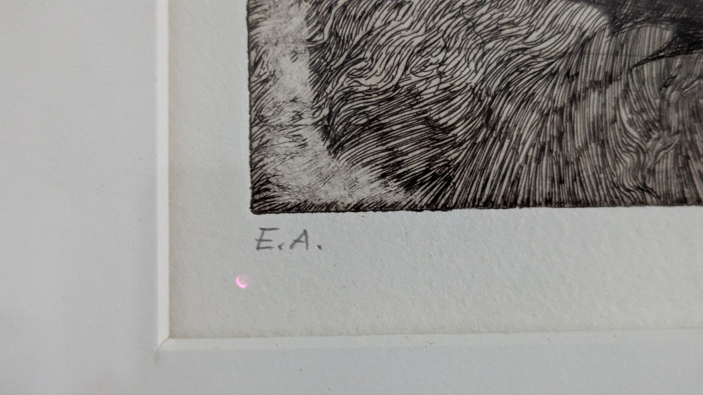 Hanna Varis - Signeerattu Etsaus (1989)