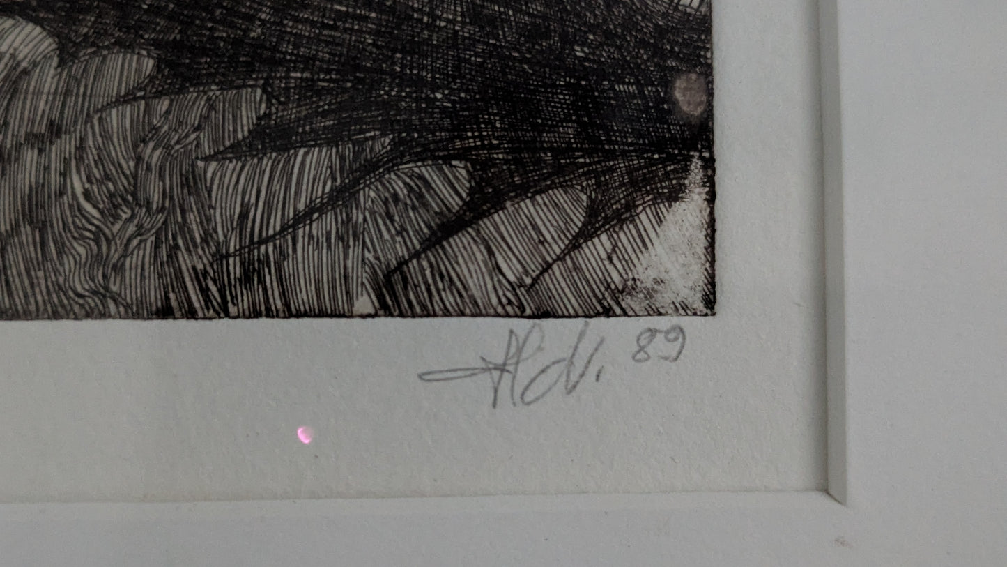 Hanna Varis - Signeerattu Etsaus (1989)