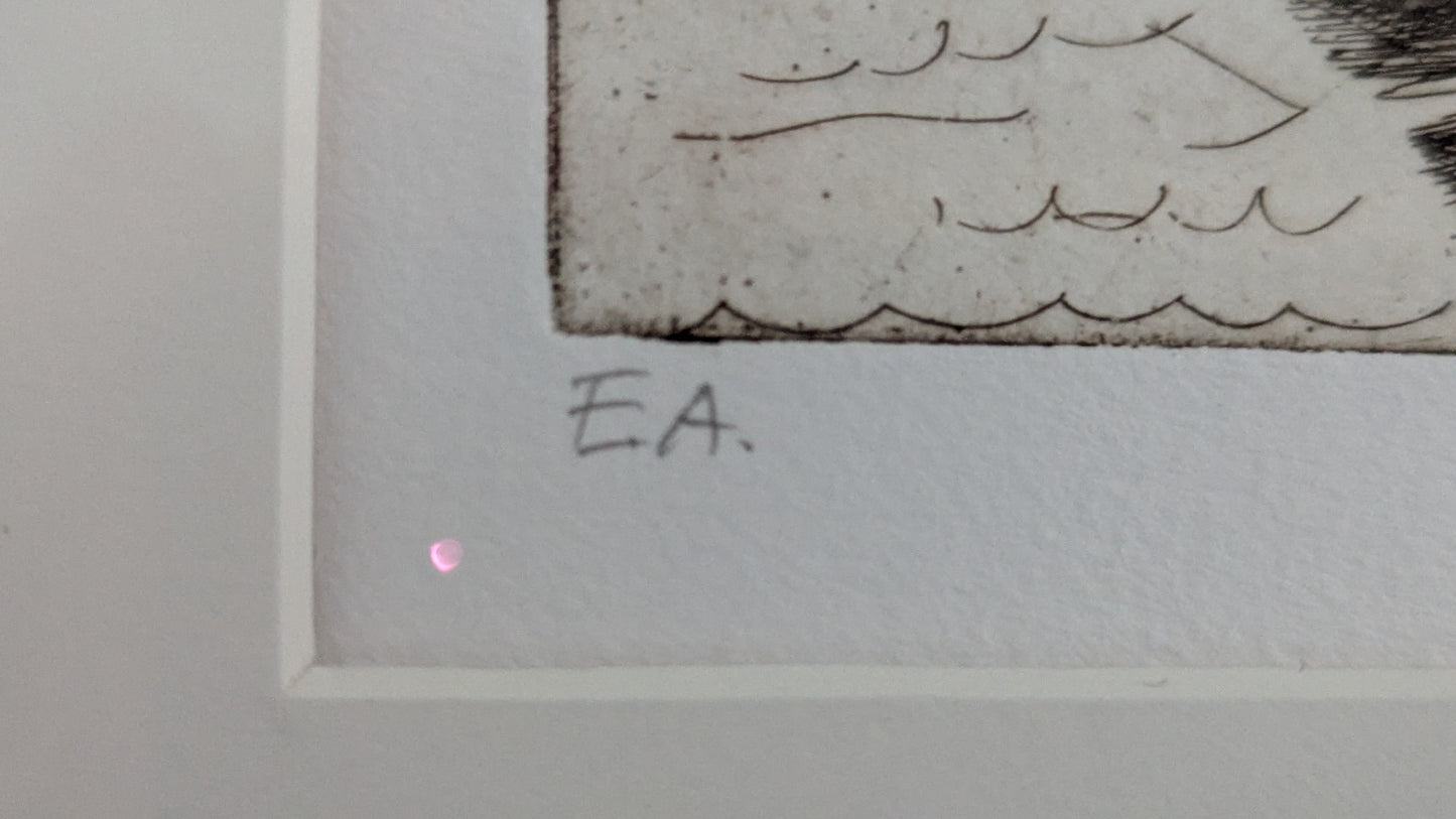 Hanna Varis - Signeerattu Etsaus (1990)