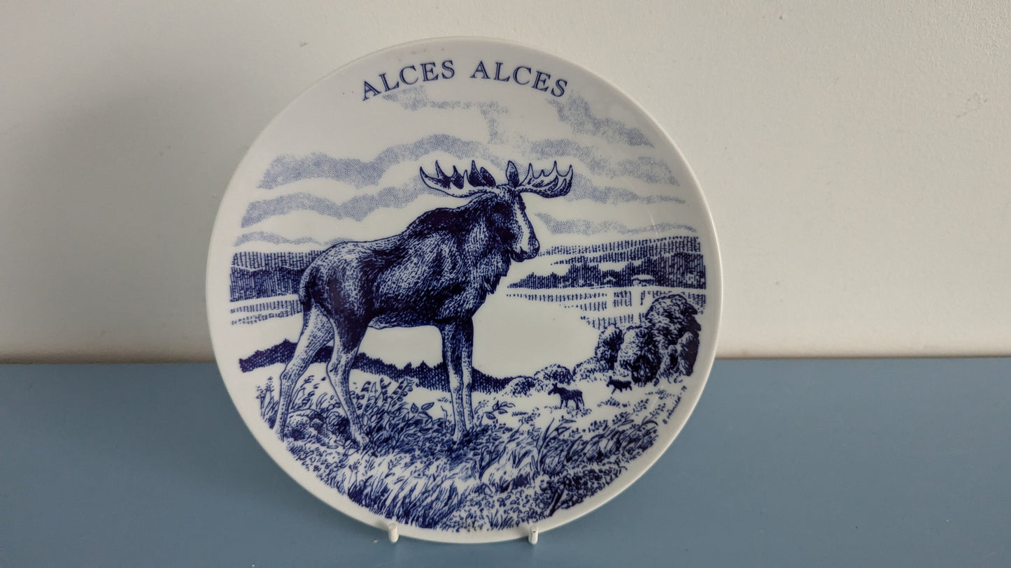 Elg & Elg - Hirvi / Alces Alces Seinälautanen