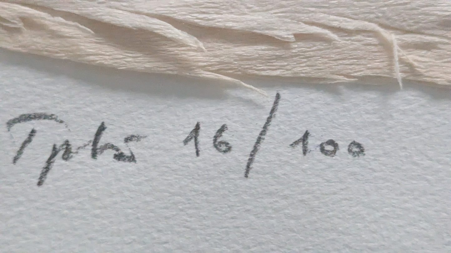 Kari Juva - Punaviini (Signeerattu, Numeroitu, Kohopaino 1990)