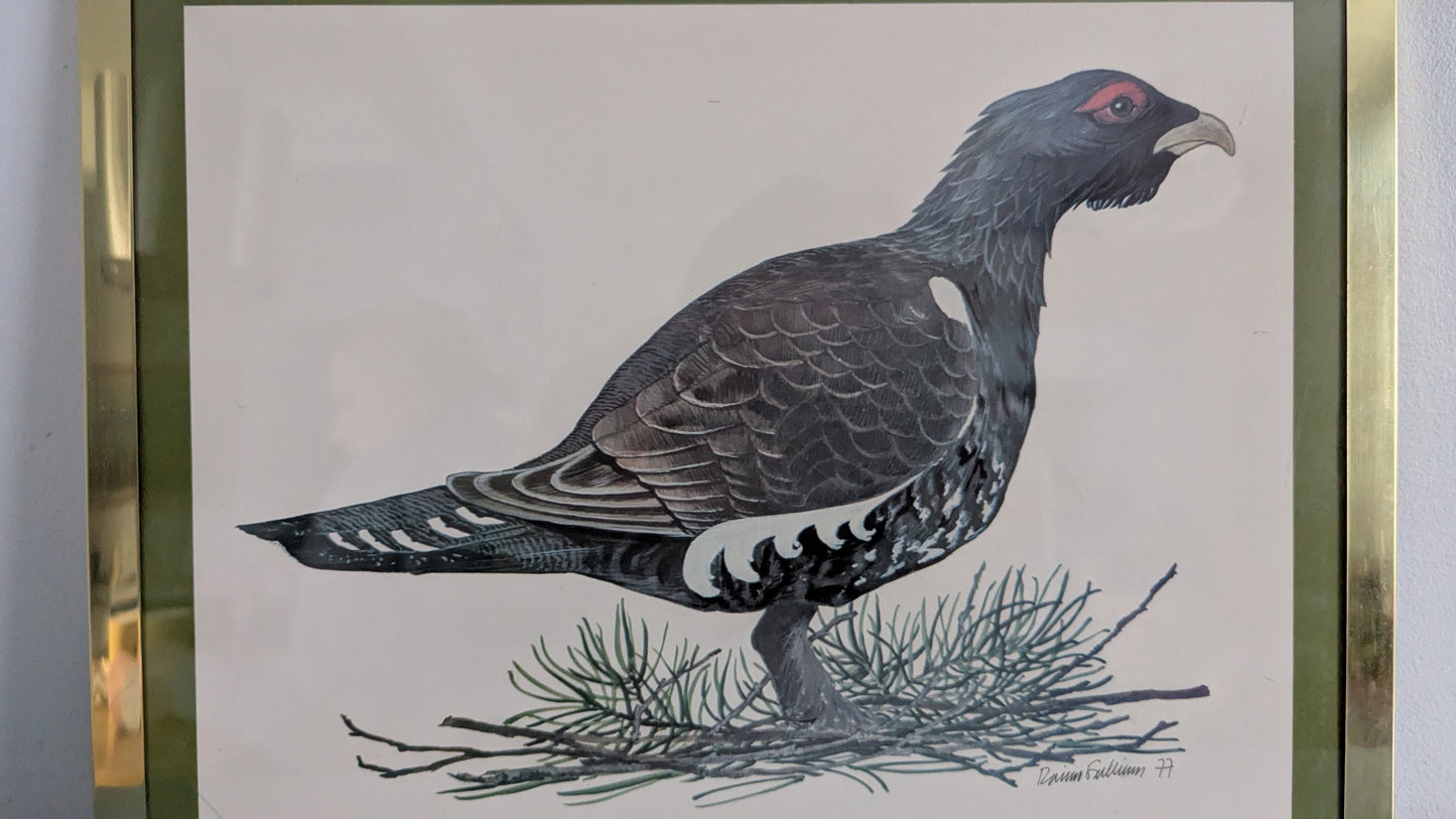 Raimo Sallinen - Metso Taulu (1977)