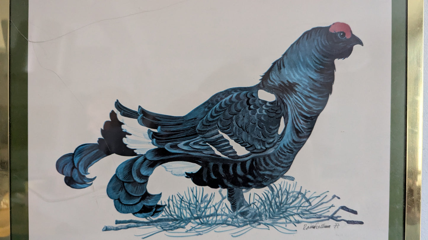 Raimo Sallinen - Teeri Taulu (1977)