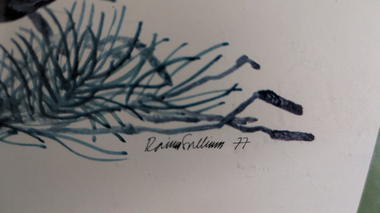 Raimo Sallinen - Teeri Taulu (1977)