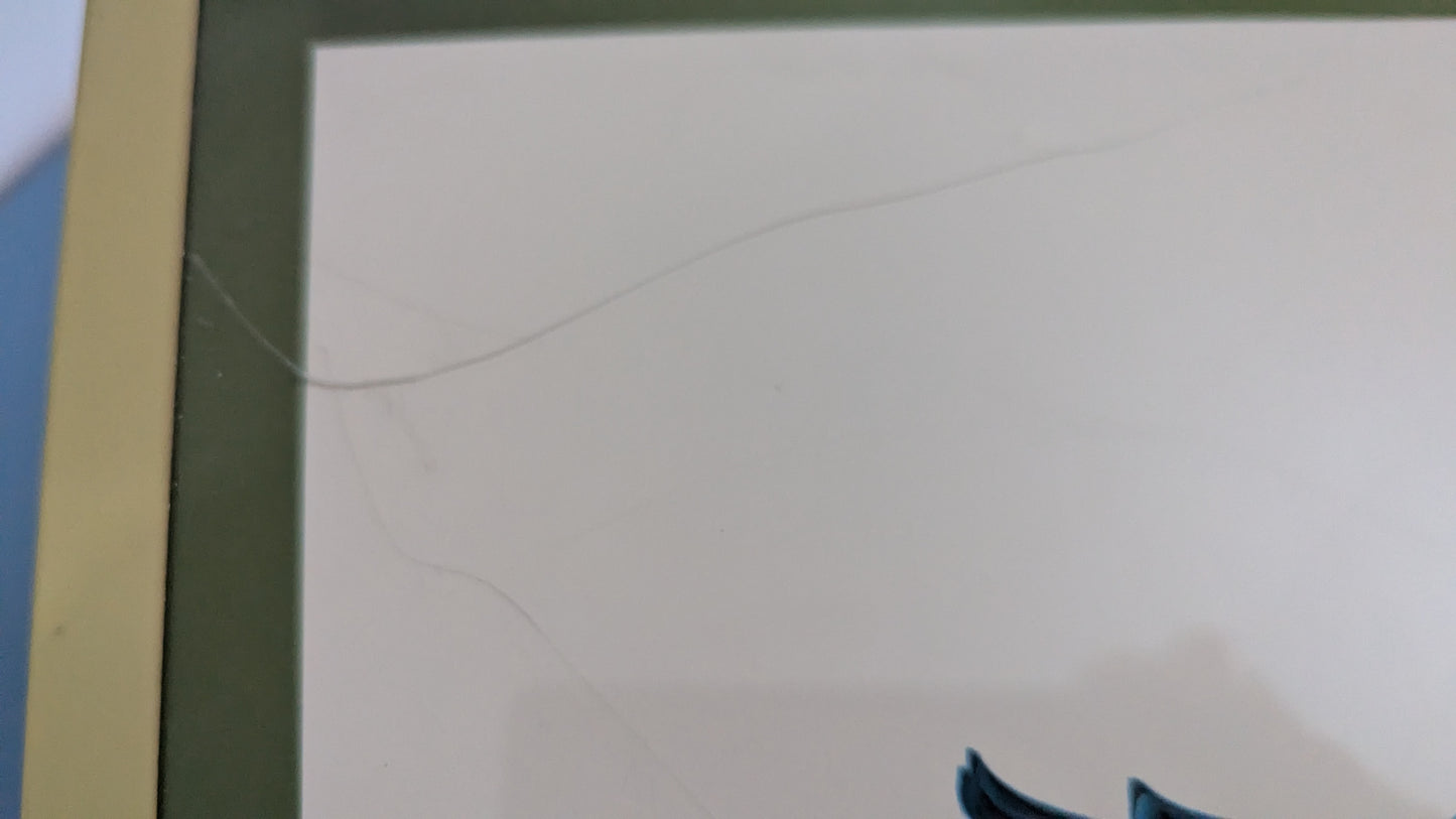 Raimo Sallinen - Teeri Taulu (1977)