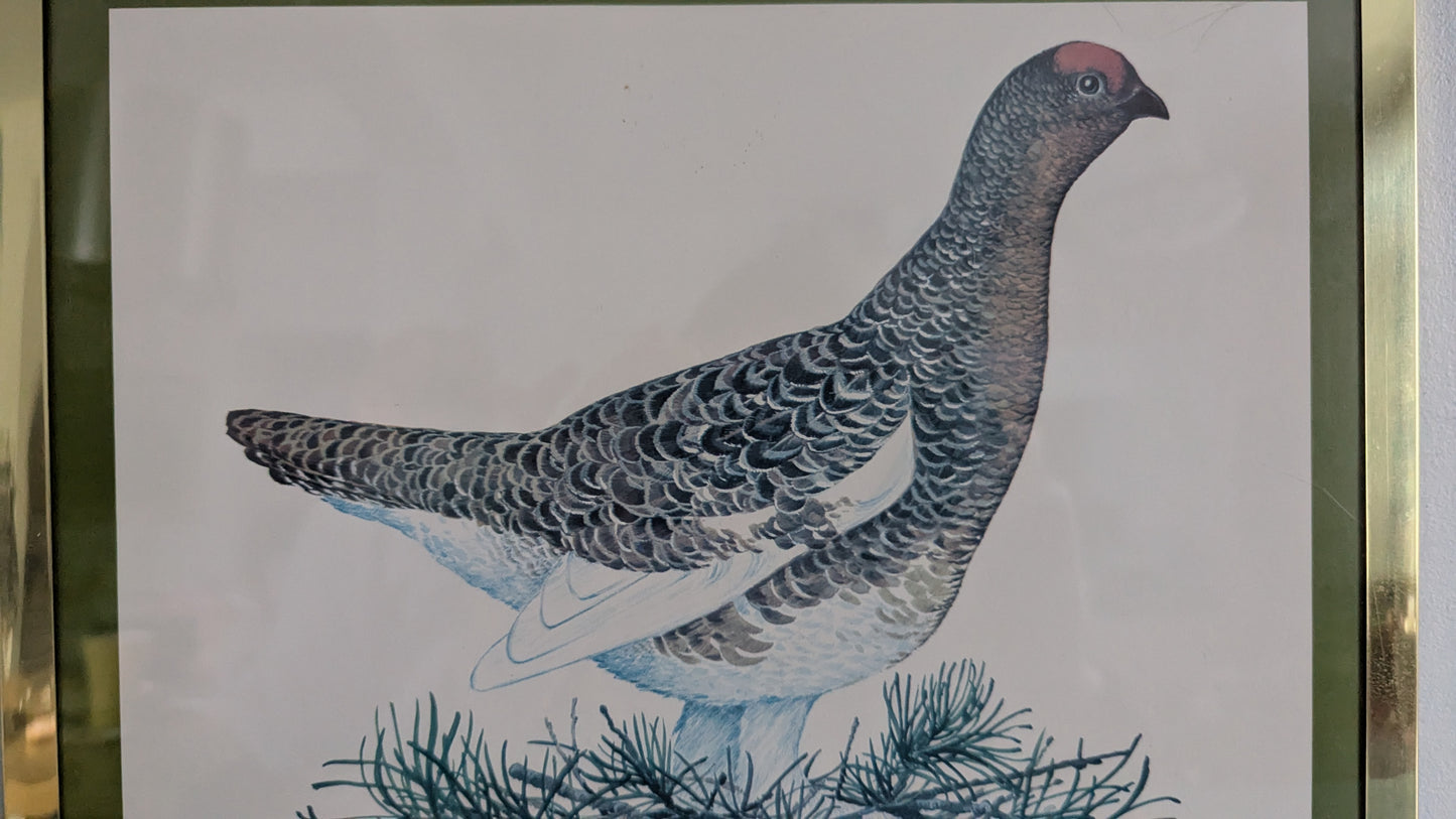 Raimo Sallinen - Koppelo Taulu (1977)