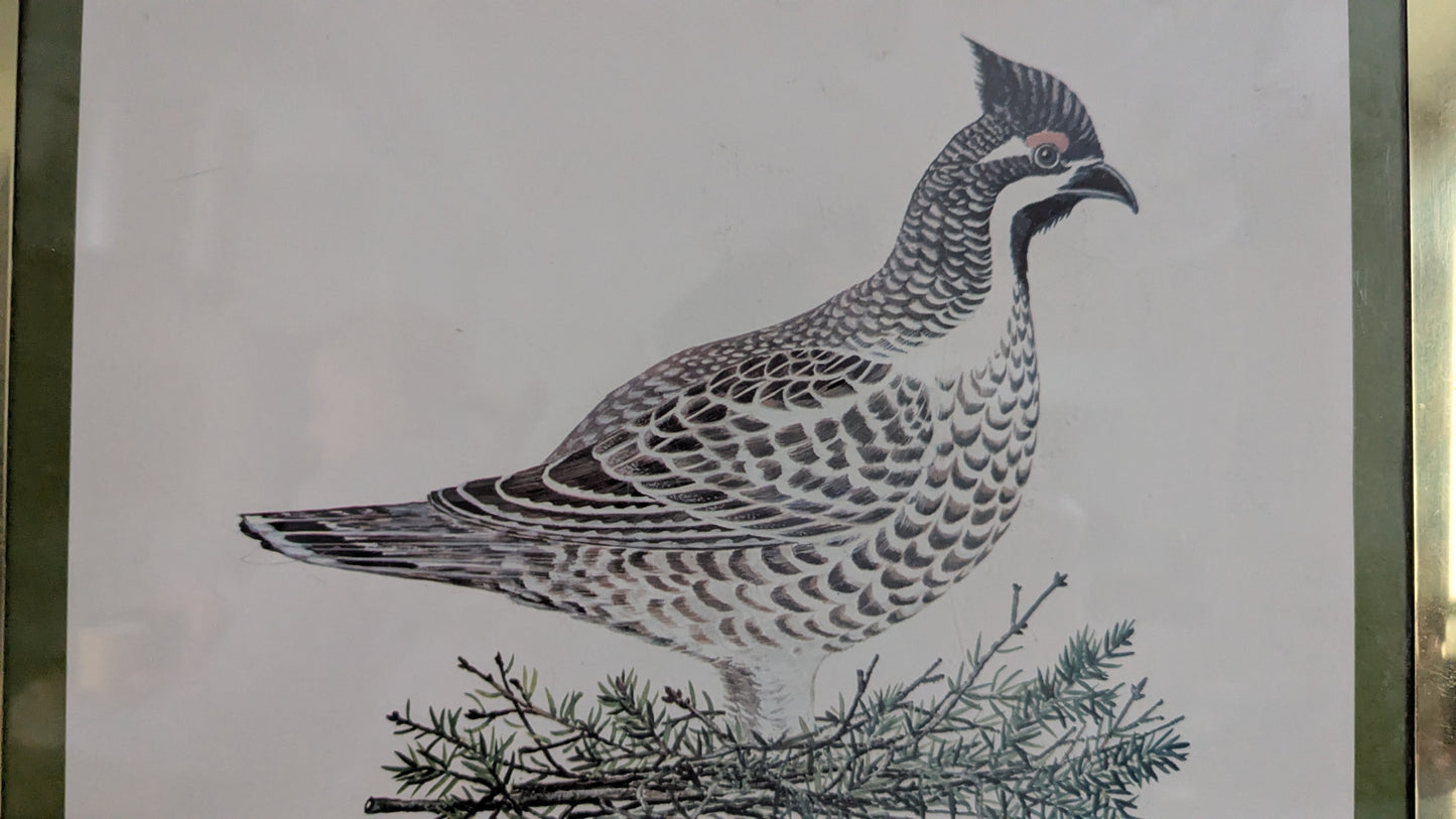 Raimo Sallinen - Pyy Taulu (1977)