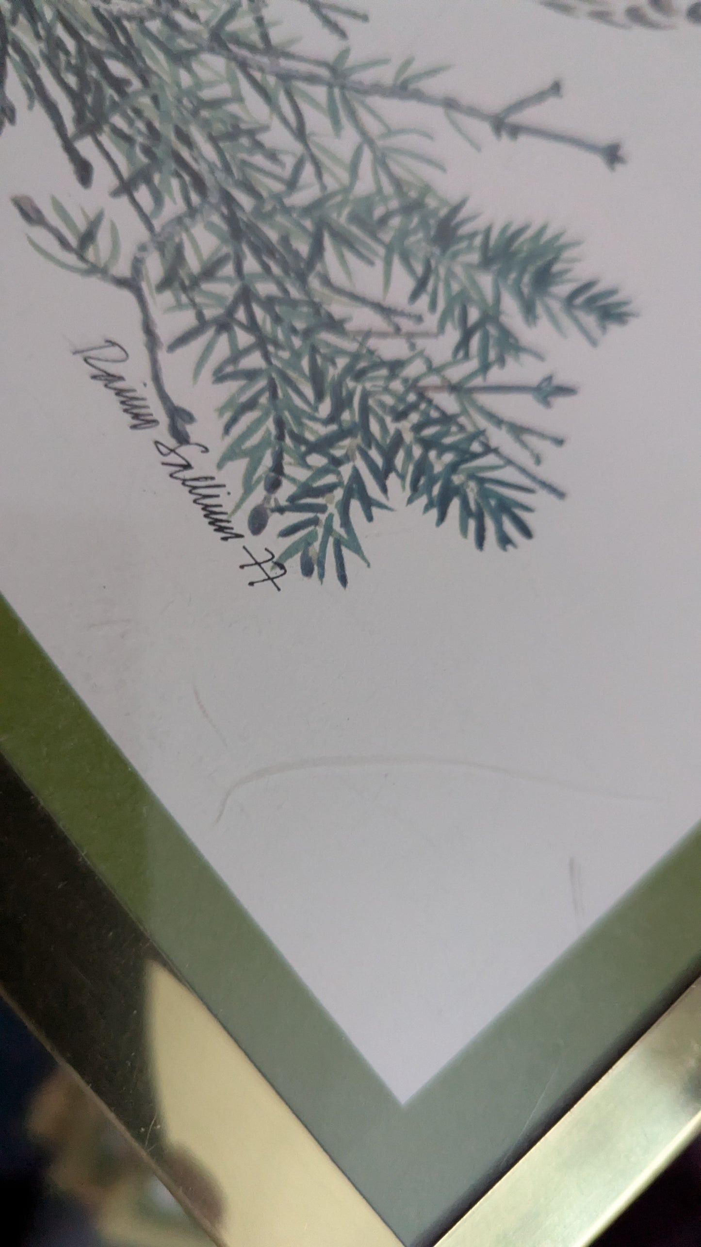 Raimo Sallinen - Pyy Taulu (1977)