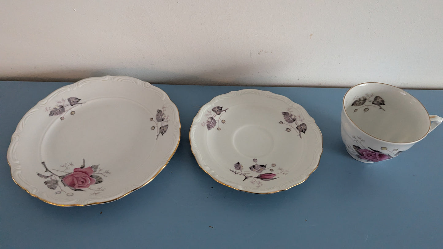 Wałbrzych - Ruusukuvioinen Kahviastiasto 10-hengelle (34-osainen)